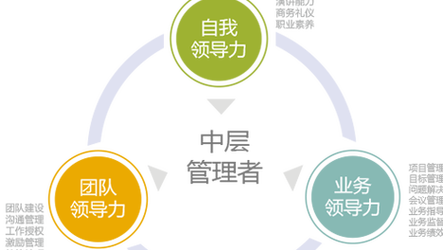 金悟空企业管理顾问 赋能企业，点石成金的管理智慧